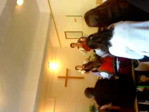 Súrodenci Ivanovci -  Dze žuravy