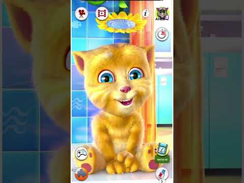 cat new video#cat #gaming #funycat #tom #youtube #funny #youtubeshorts #viralvideo 🍉🍉🍉🍉🍉🍉🍉🍉🍉🍈🍒🍑🍑🍅🍅🍓🍓