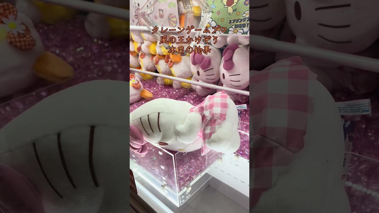 クレーンゲームプロ 風の王 かけぞう 本日の釣果 キティちゃん