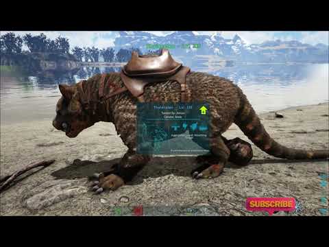 Mastering Thylacoleo Combat | Thyla | ARK: Survival Evolved