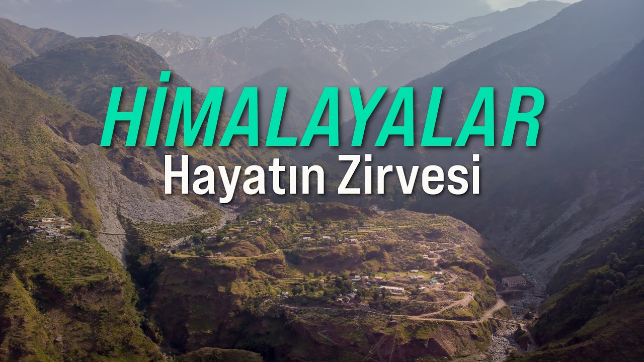 Life at the Peaks of the Himalayas: The City of the Dalai Lama and Mountain Life