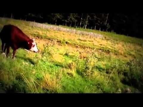 Cazare Calimanesti Caciulata - Cazat.ro