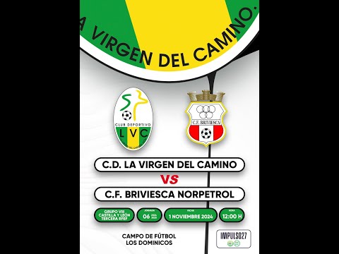 Resumen CD Virgen del Camino - CF Briviesca
