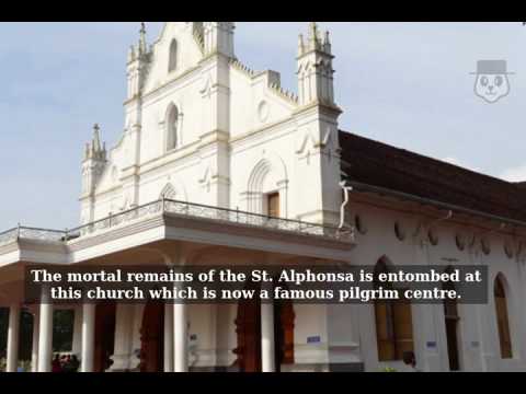 St. Mary's Church, Bharananganam