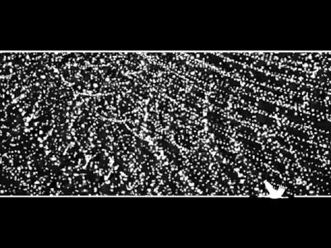 FALK BACHERT - DUMP TRUMP - FLUG VON WELT - OFFICIAL VIDEO 2013