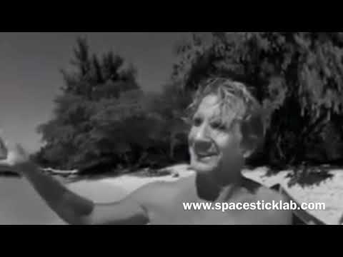 NEW Naish Wingsurfer explained