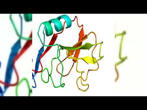 branden lowe - cruisin In My ae86