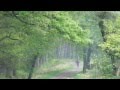 Into the Escape  - Conjure One - A Ducth journey into nature- Pictures