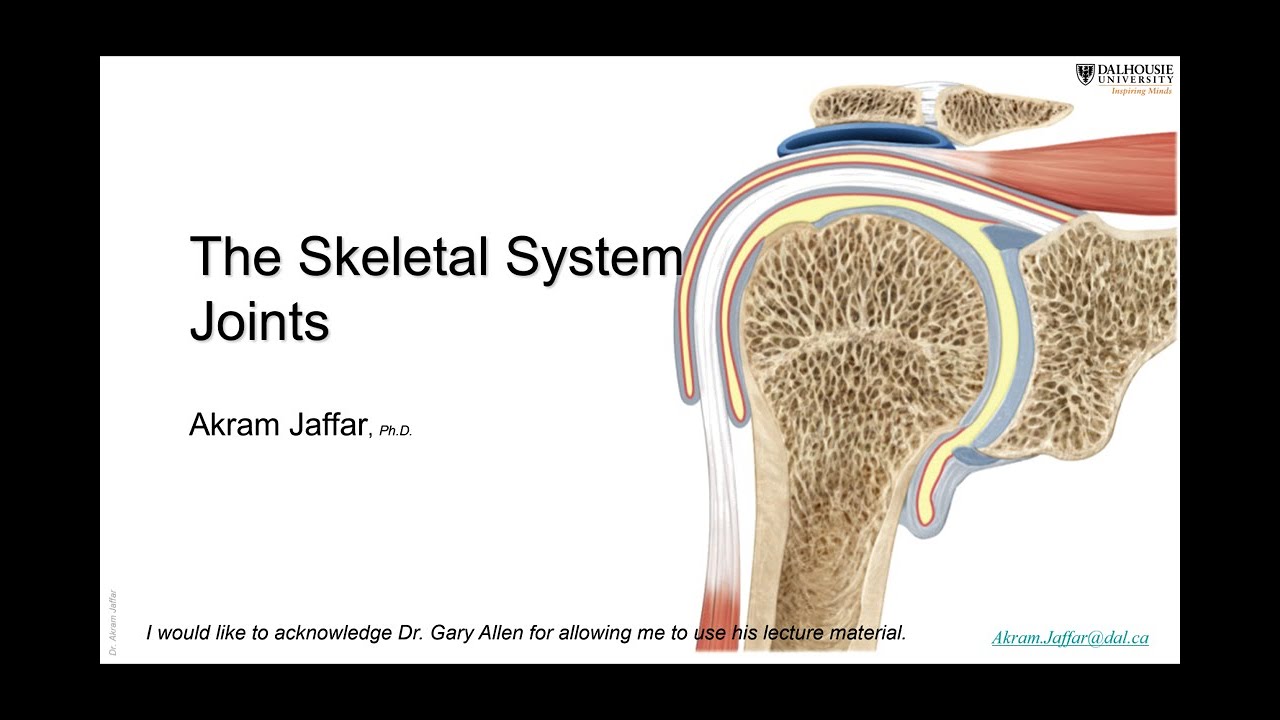 ANAT1010_10_Joints + Anki flashcards