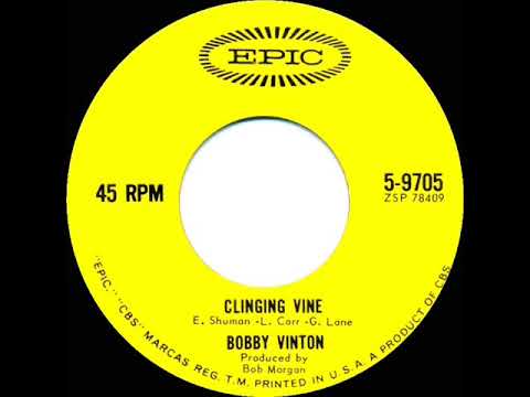 1964 HITS ARCHIVE: Clinging Vine - Bobby Vinton