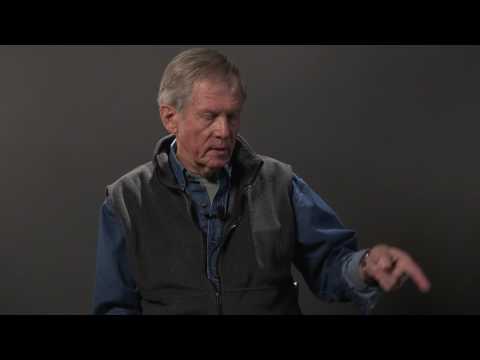 #03 Douglas Fir and Rufous Hummingbird by Robert Bateman