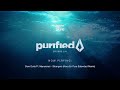 Nora En Pure - Purified Radio Episode 291