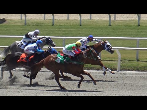 COPA CHALLENGE desde la tribuna!