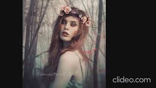 Tragical Memories - Penumbra