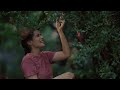 Mudhan Mudhalil Parthen Tamil Classical WhatsApp Status Rajastatus Devamusic Lovestatus