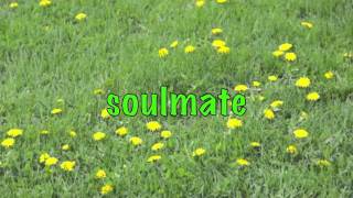 SOULMATE (with lyrics) by Josh Turner