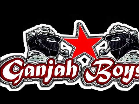 Semillas - MR. Tona Ganjahboy