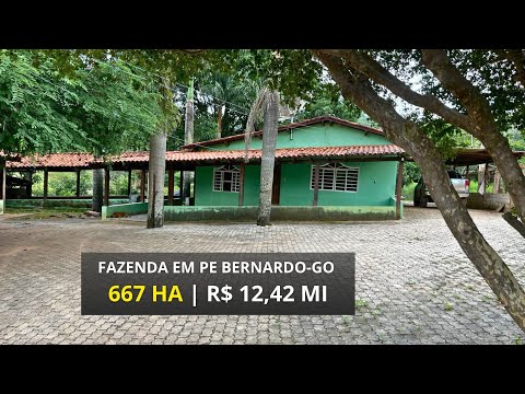 Fazenda em Padre Bernardo GO  com 667 Ha a 50 km de Brasília , pronta para pecuária