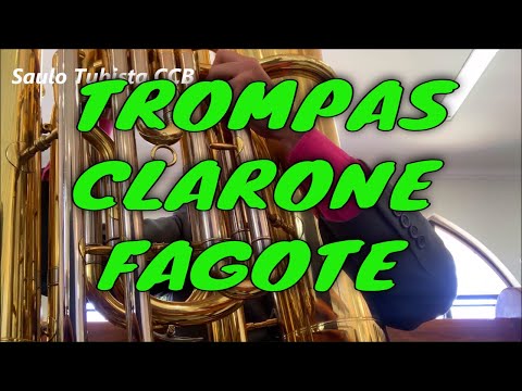 Ensaio Regional Pouso Alegre - TROMPAS - Hino 334