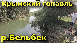 Рыбалка на черной речке в севастополе