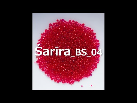 Legado de Buda_BS_04