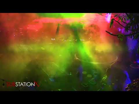 FISH SCALE at Tree HOUSE - 8/25/19 (SUBSTATION X)