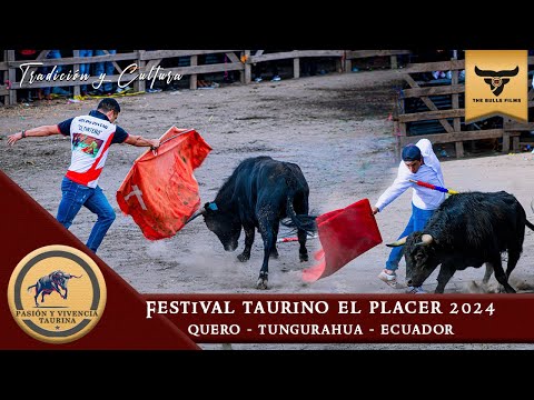 FESTIVAL TAURINO EL PLACER  - QUERO 2024 - LA GRAN FINAL || TUNGURAHUA - ECUADOR