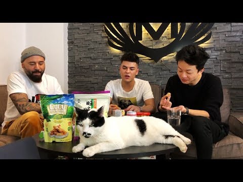 AM MANCAT PIELE DE PISICA x MATTEO x CEANU 🐈 Nu incercati❗❗❗