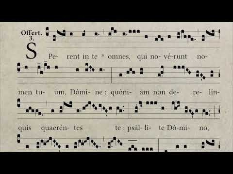 Feria III post Dominicam Passionis: Offertorium - Sperent in te