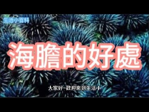 海膽
