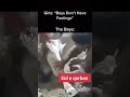 Kid Loves His Bakra Real Qurbani Kid Crying Shorts Eid