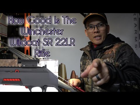 WINCHESTER WILDCAT VS CHEAP .22 is it worth it?