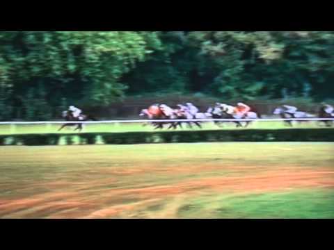 Nagroda Druida - 16.09.1999 - Czakamar (Eldon - Czarina)