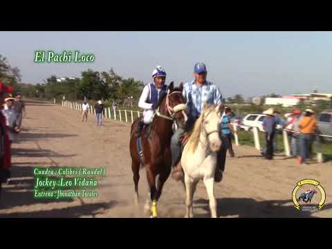 El Pachi Loco vs El Pajarito pista Casitas Tecolutla Ver 25- 11- 17