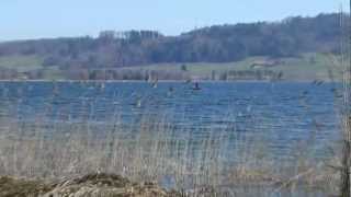 preview picture of video 'Switzerland Pfäffikersee Spaziergang nach Seegräben,'