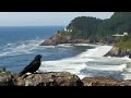 THE SILENCE Full Movie