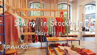 春のストックホルム🇸🇪 カフェ巡りとマリメッコにときめく1泊2日の旅 🌷