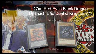 Tập Chơi Yugioh! 02 - Thử Làm Bộ Bài Non-Meta Red-Eyes Decks Theo Lối Chơi Cũ