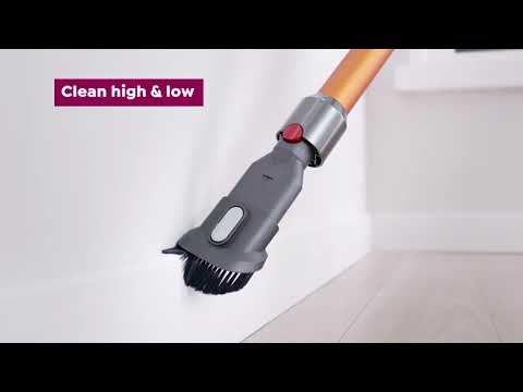 Dyson V8 Animal Pro Cordless Vacuum with Tools