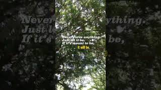 Download lagu Let it be mp3 Download lagu Let it be mp3