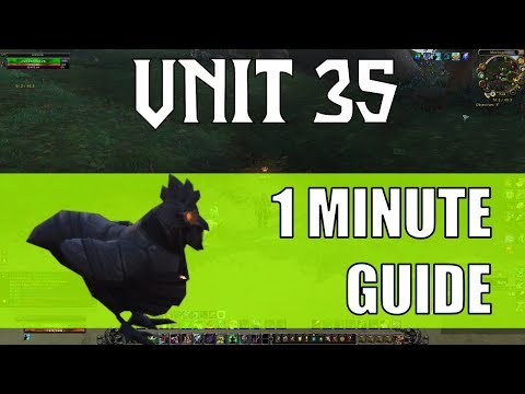 Unit 35 - Mechagon Pet Battle 1 Minute Guide