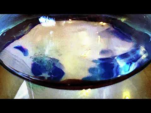 Permeating Scents - Patrick Behnke and Yvette Holzwarth