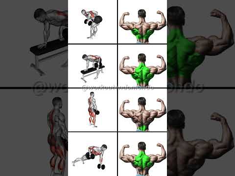 STRONGER Back with DUMBBELLS: Best Dumbbell Back Workout!