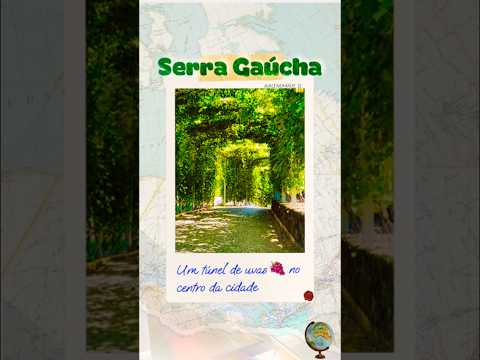 Um túnel de Uvas no Centro da cidade ☝️VÍDEO COMPLETO🎥