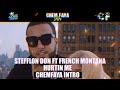 Stefflon Don Ft French Montana - Hurtin Me (ChemFaya Intro)