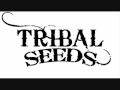 Tribal Seeds - Herby