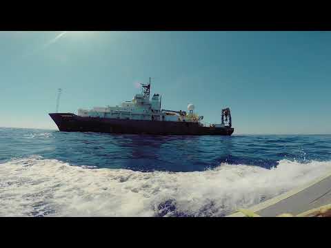 afbeelding Acid Horizon