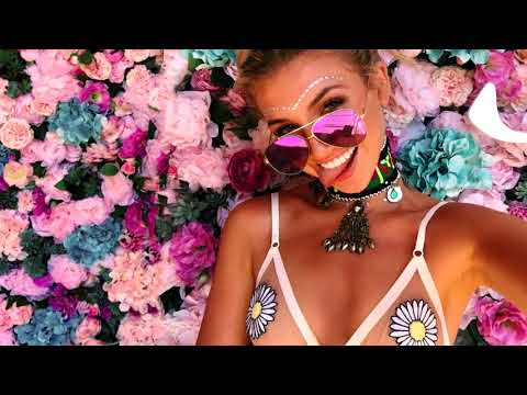 Best EDM Festival Mix 2018 Electro House Party Music Charts Mix 2018