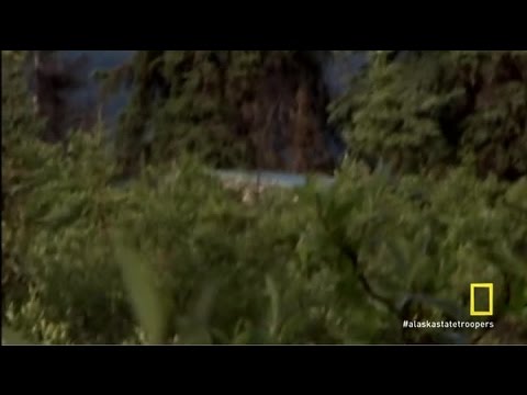 Alaska State Troopers Armed & Squatting | Season 4 Episode 10