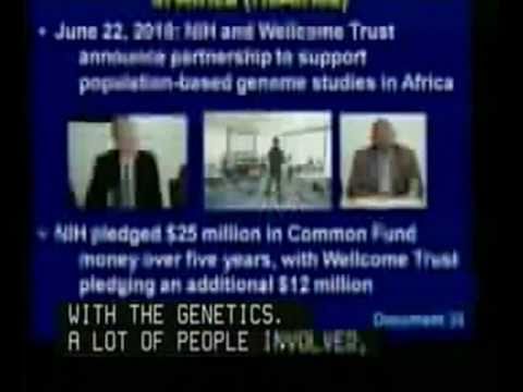 Director's Report (September 2010) - Eric Green